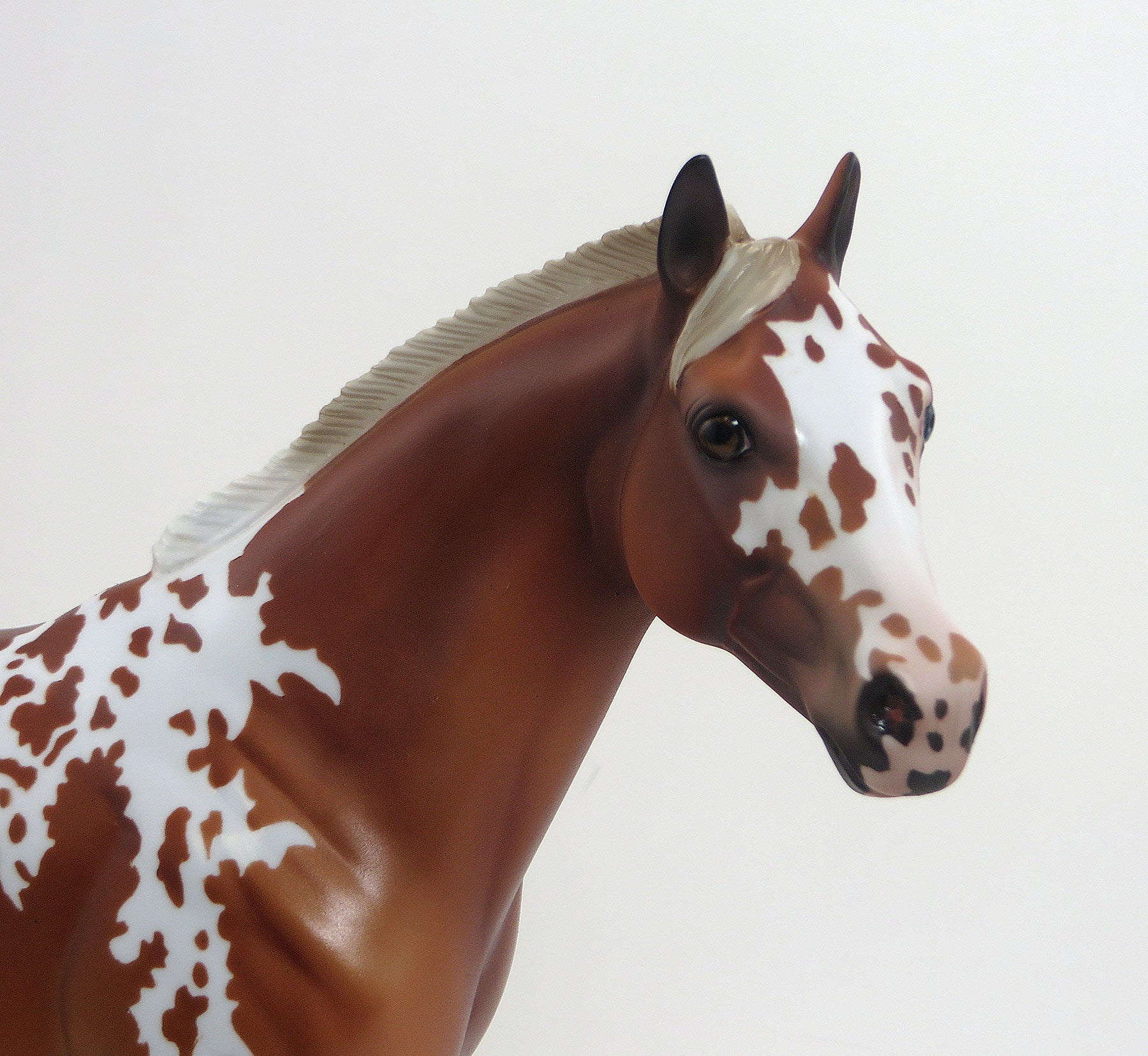 FOOLISH QUESTION - OOAK Light Chestnut Tobiano Stock Horse - 8/28