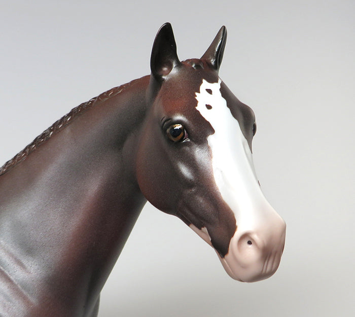 red roan paint ish red dawn