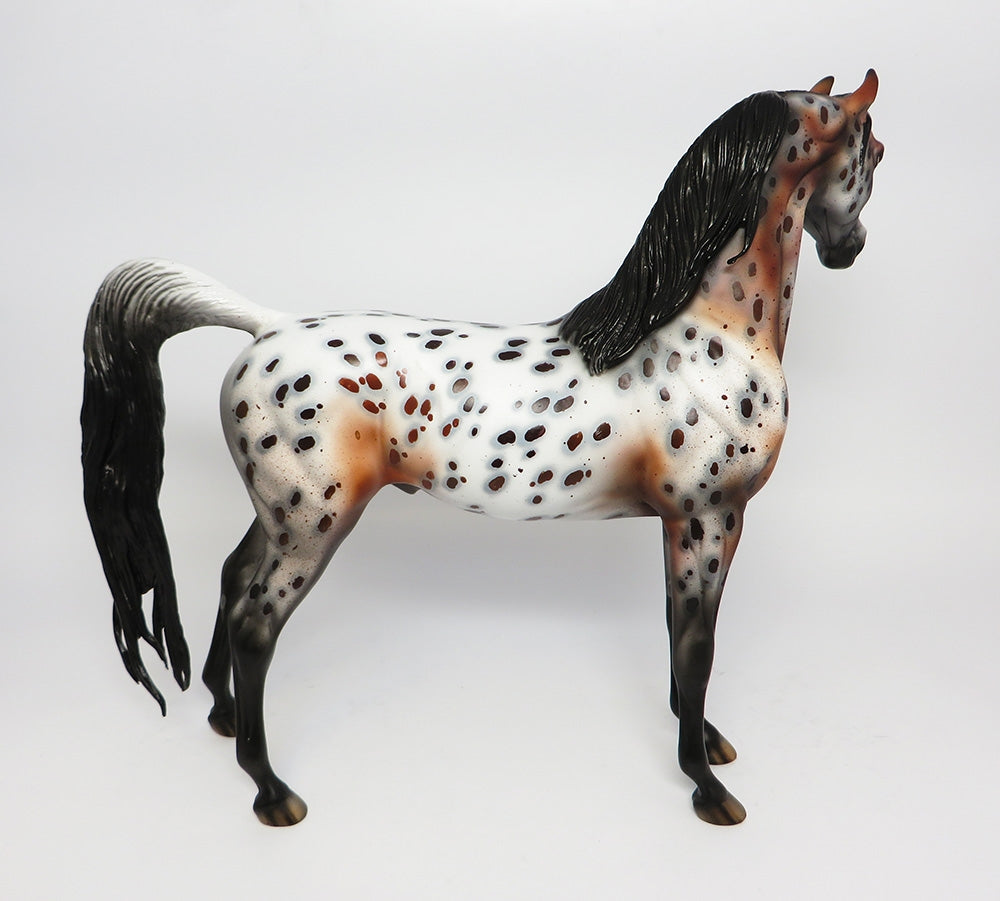 GIORGIO~OOAK LOUD BAY ROAN APPALOOSA ARABIAN MODEL HORSE 10/18/17