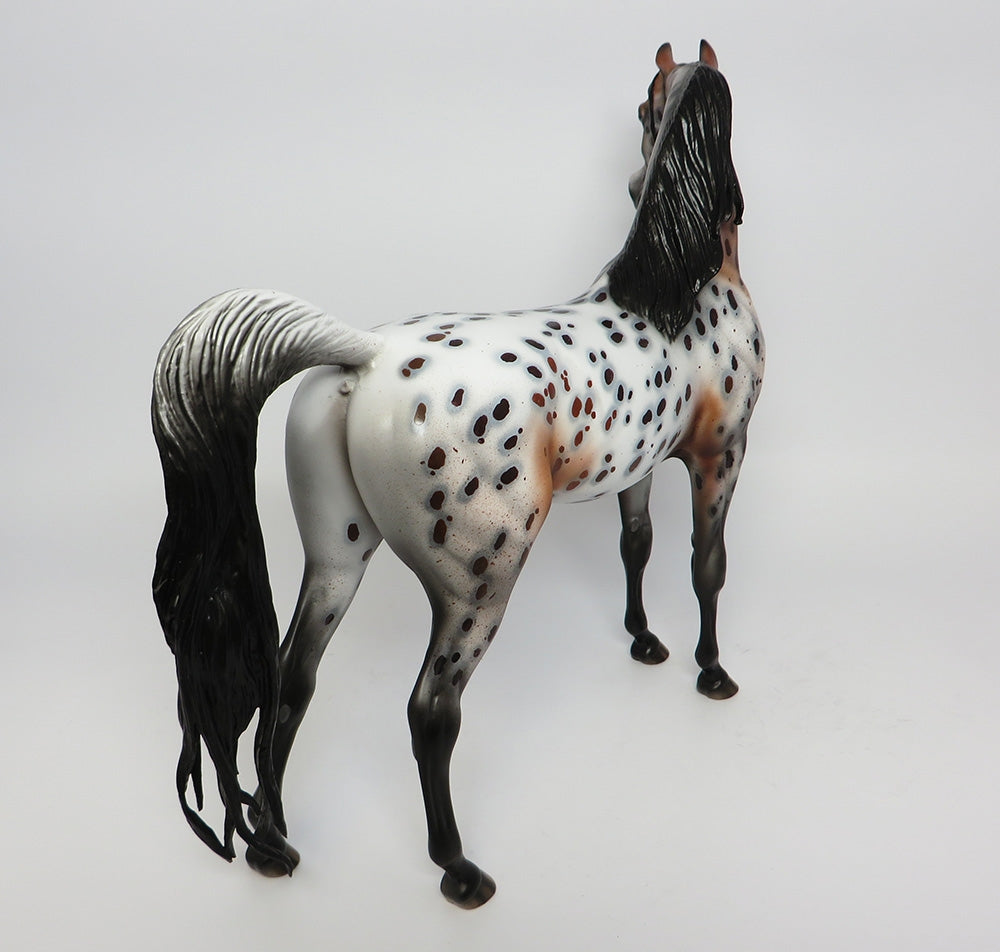 GIORGIO~OOAK LOUD BAY ROAN APPALOOSA ARABIAN MODEL HORSE 10/18/17