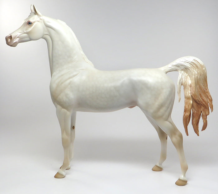 walk on gold dapple perlino arabian