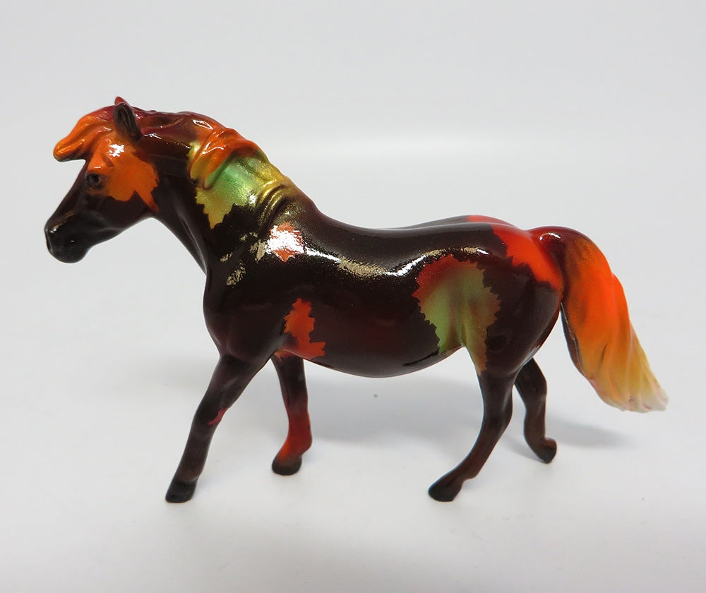 BEECH~OOAK FALL DECORATOR PONY CHIP 10/25/17