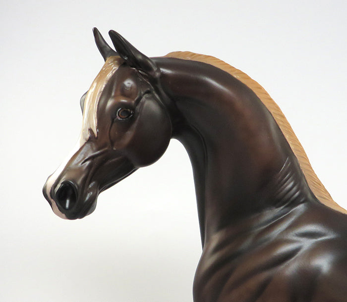 MAXWELL-OOAK LIVER CHESTNUT ARABIAN BY SHERYL LEISURE 6/9