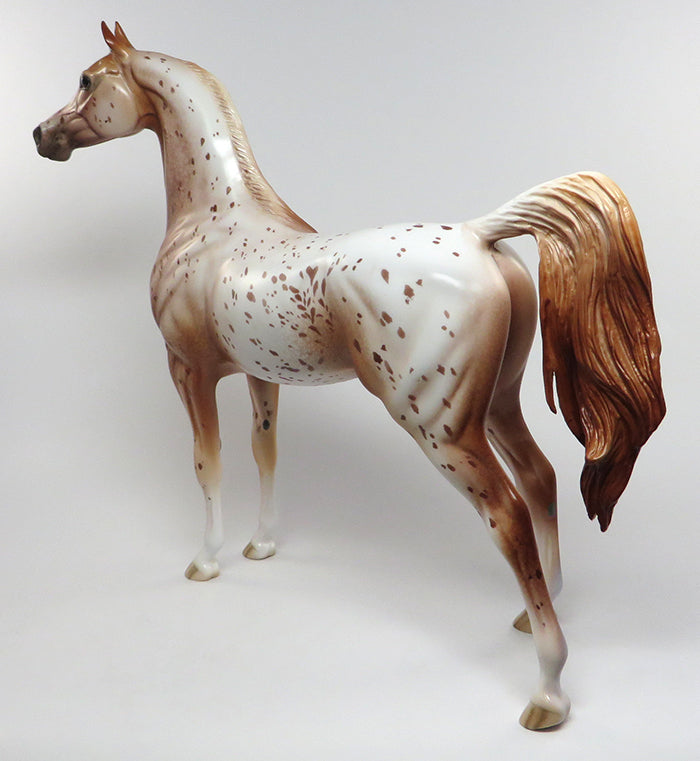 dream catcher araloosa