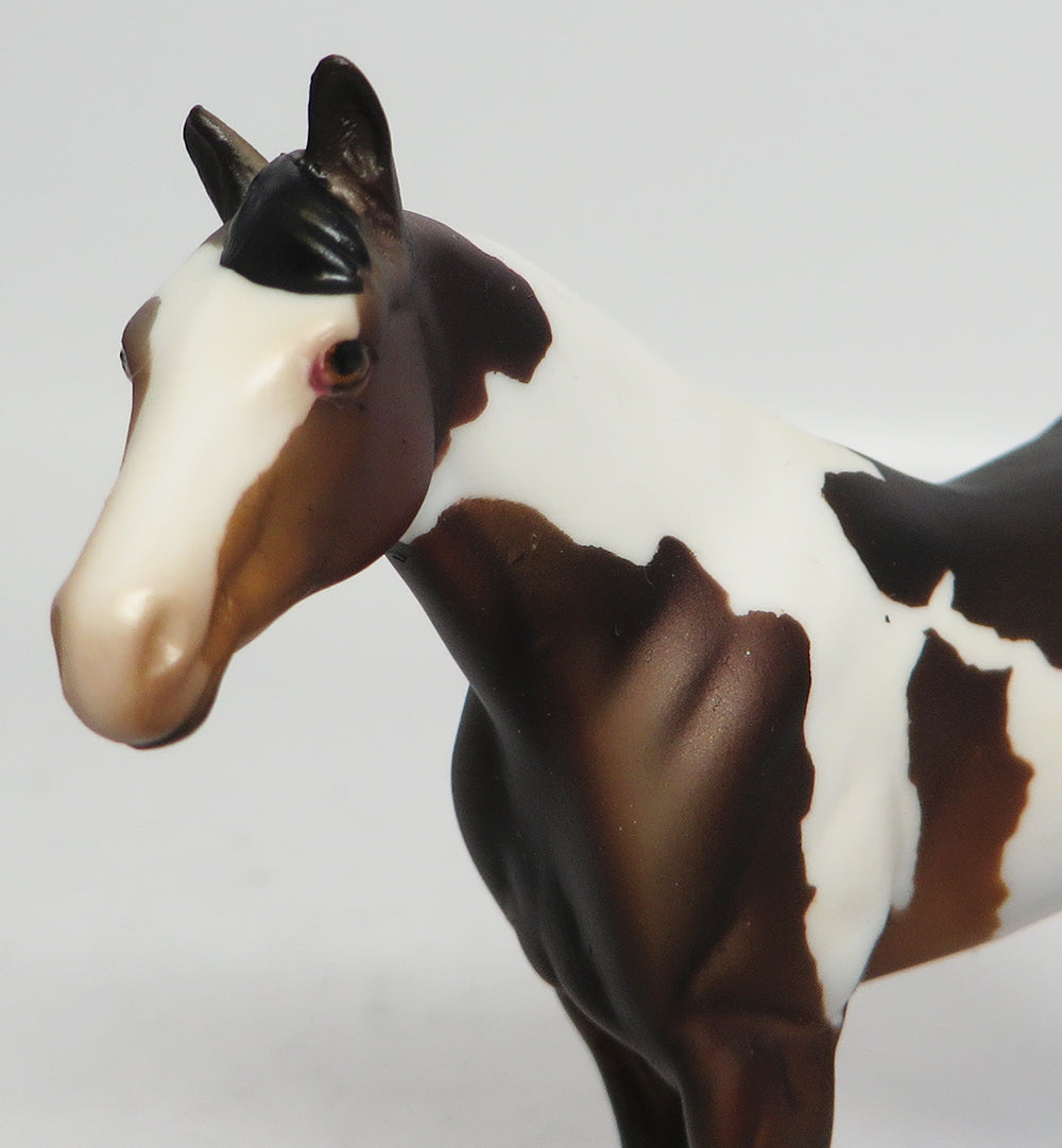 JACK DANIELS-LE4 CHESTNUT PAINT QUARTER HORSE CHIPS