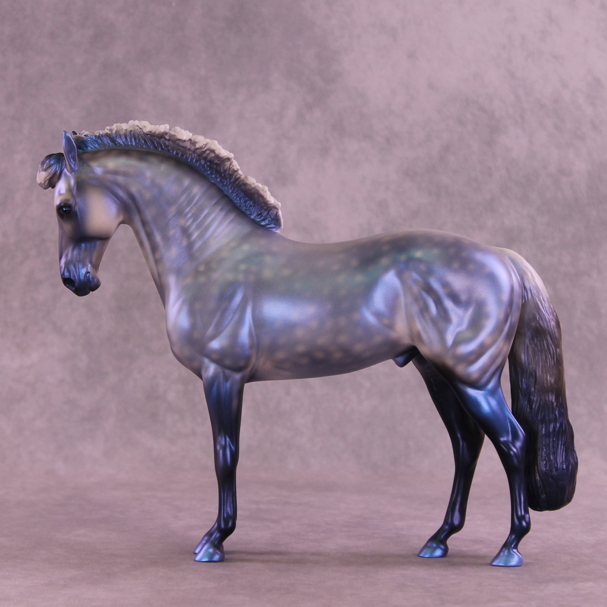 Jack Frost OOAK FCM Andalusian by Anna Rieck HS25