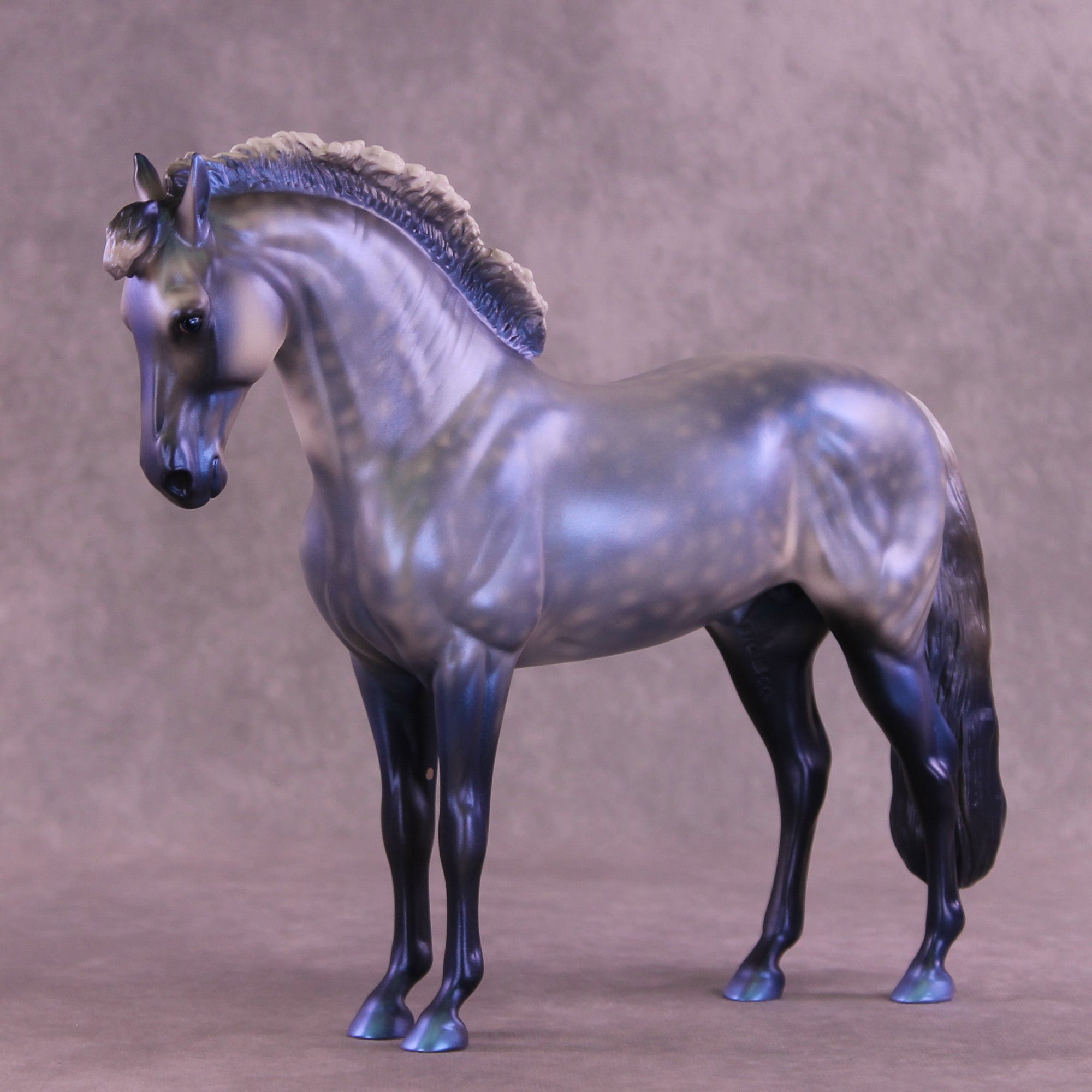Jack Frost OOAK FCM Andalusian by Anna Rieck HS25