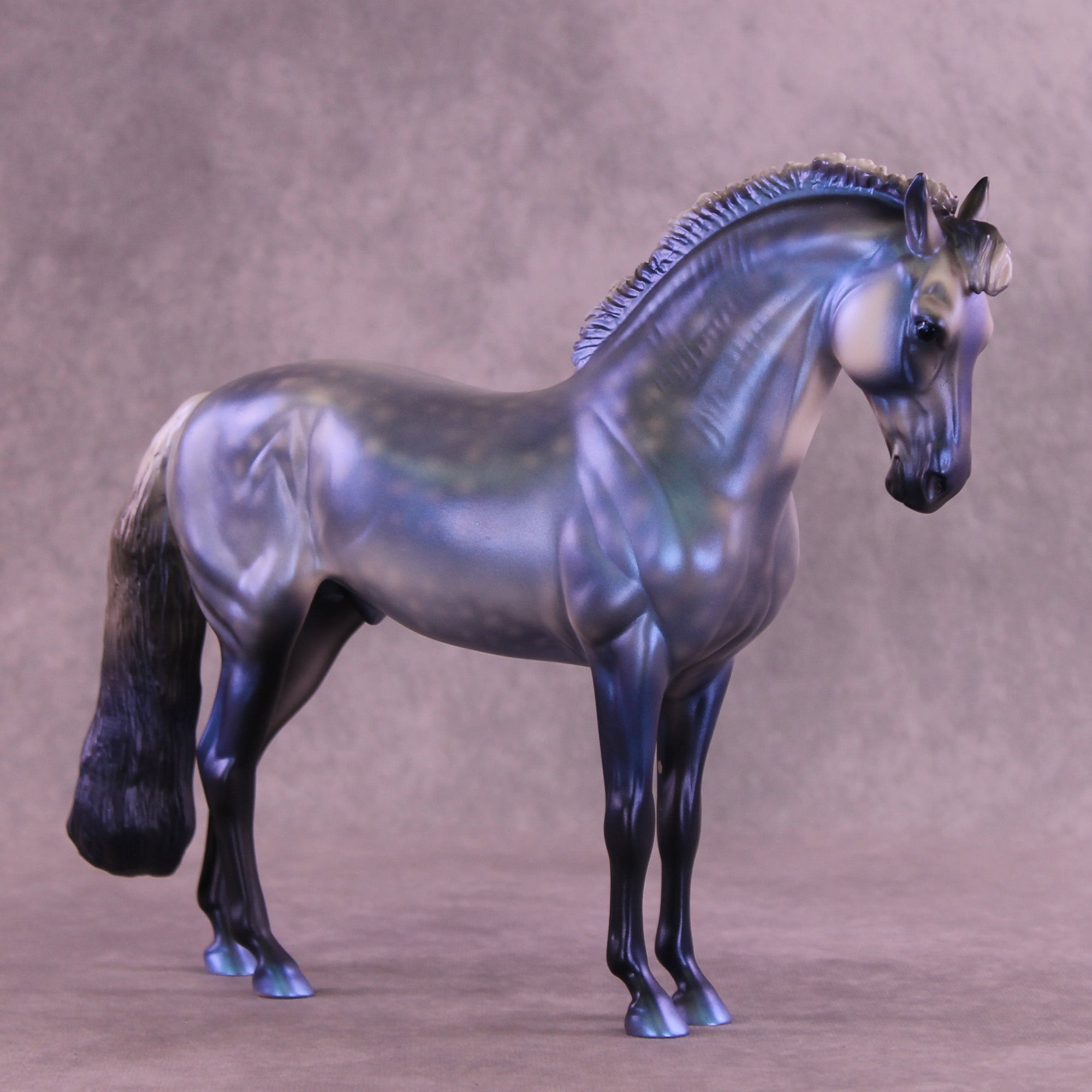 Jack Frost OOAK FCM Andalusian by Anna Rieck HS25