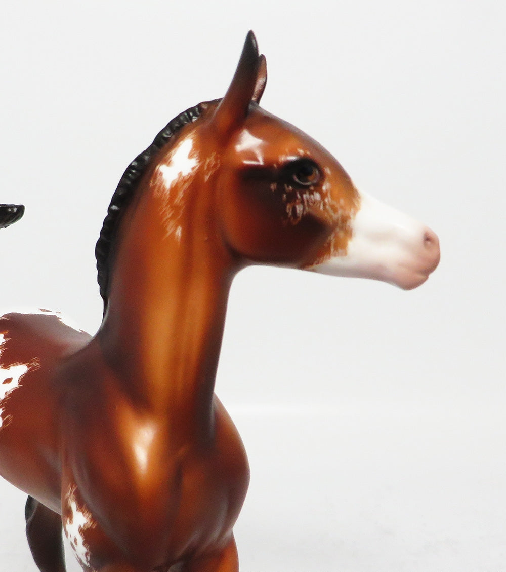 JULES-OOAK ETCHED BAY APPALOOSA ARABIAN FOAL BY JULIE KEIM MM2017