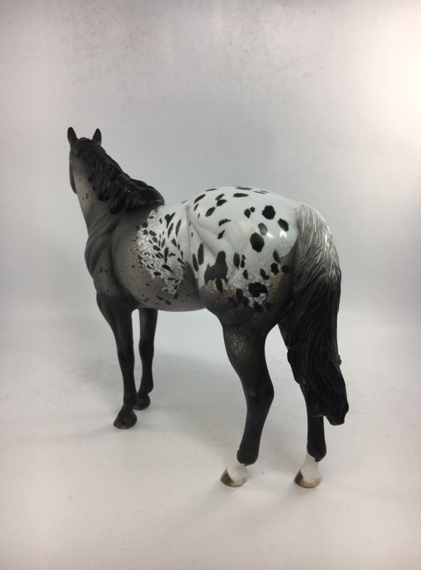 KEEP IN TOUCH-OOAK GREY BLANKET APPALOOSA ISH MODEL HORSE BY DAWN QUICK 2-8-18