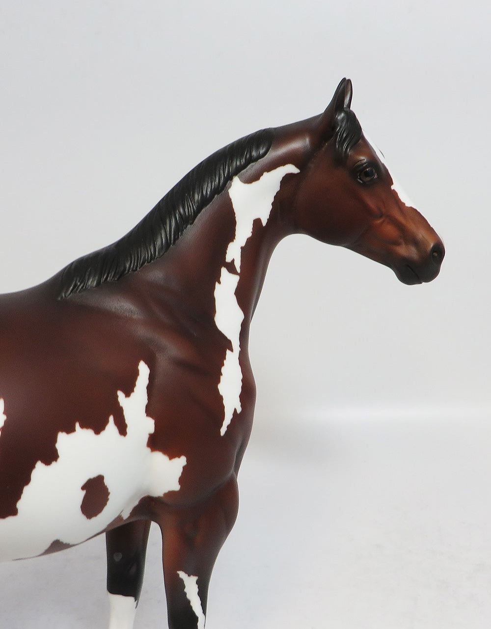 COACH - OOAK BAY PINTO ISH MODEL HORSE BY TANSLEY