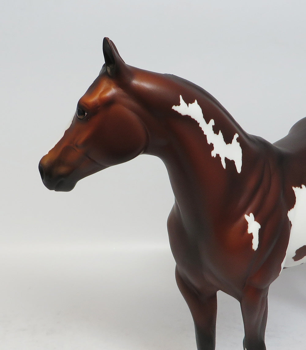 COACH - OOAK BAY PINTO ISH MODEL HORSE BY TANSLEY