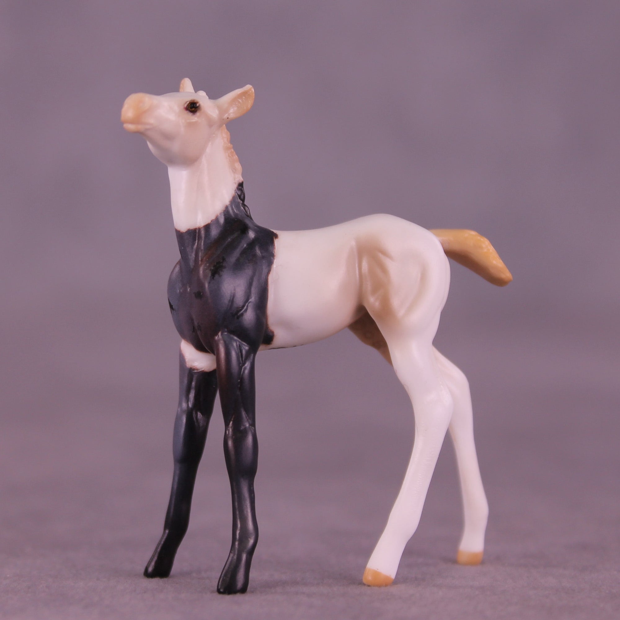 Luigi OOAK Chip Foal by Anna Rieck HS25