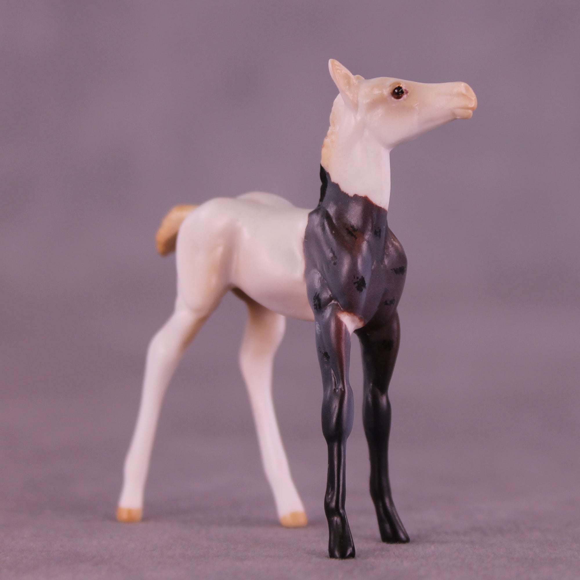 Luigi OOAK Chip Foal by Anna Rieck HS25