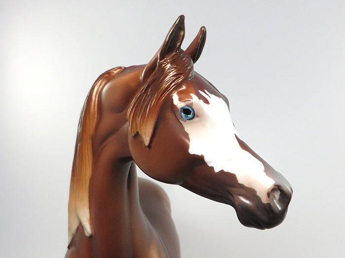 THE MAD HATTER-LE-3-CHESTNUT SABINO ARABIAN MODEL HORSE EQ 2016