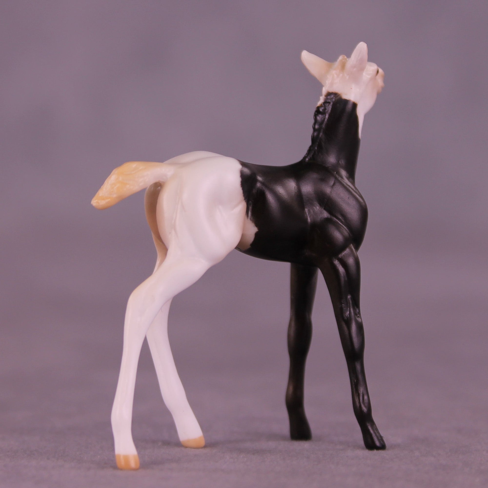 Mario OOAK Chip Foal by Anna Rieck HS25