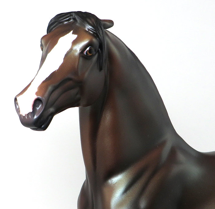 BROWN BAY LIMITED EDITION