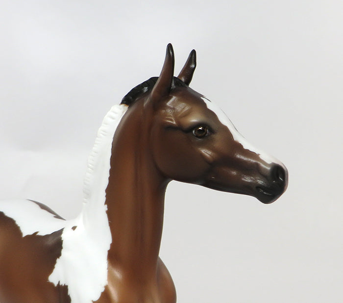 BELLEZA-LIMITED EDITION BAY TOBIANO FOAL MODEL HORSE BY SHERYL LEISURE 7/20 *PRE-ORDER
