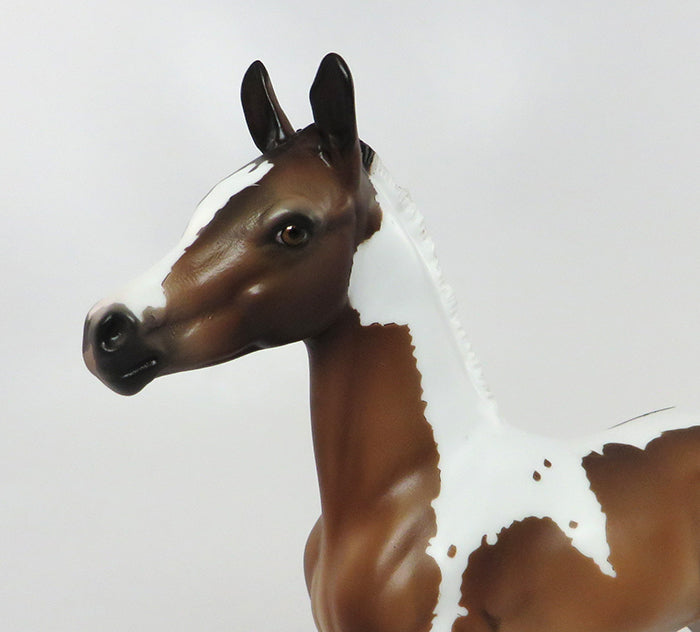 BELLEZA-LIMITED EDITION BAY TOBIANO FOAL MODEL HORSE BY SHERYL LEISURE 7/20 *PRE-ORDER