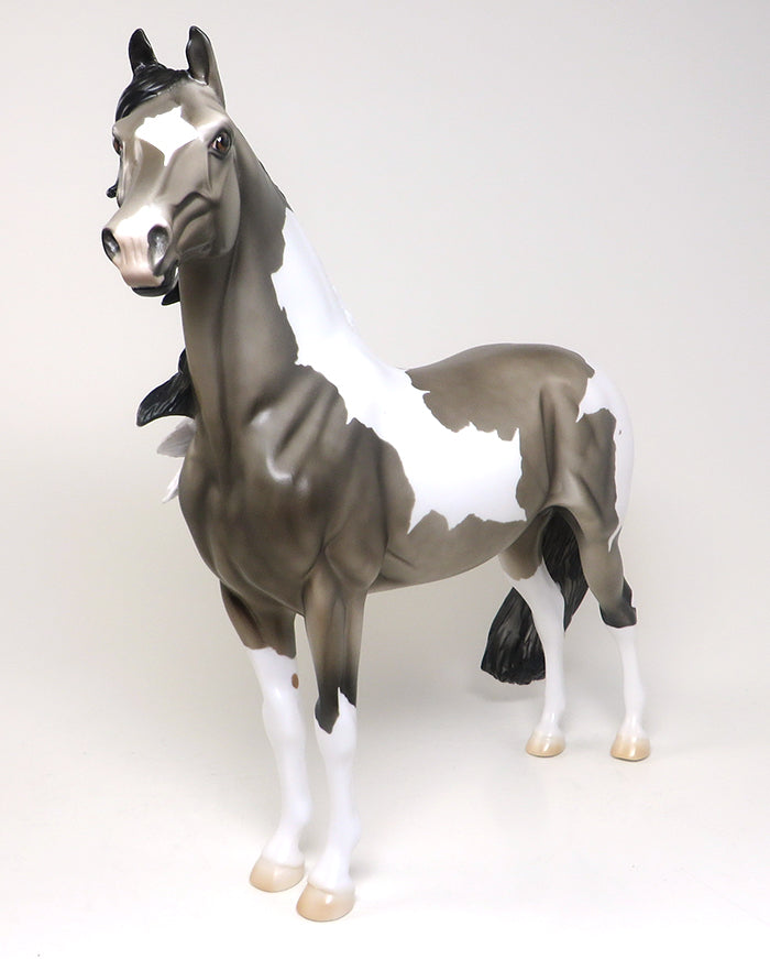 NOT TO FAST-LE-4 DAPPLE GREY PAINT MORGAN MODEL HORSE 4/21