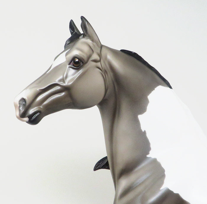 NOT TO FAST-LE-4 DAPPLE GREY PAINT MORGAN MODEL HORSE 4/21