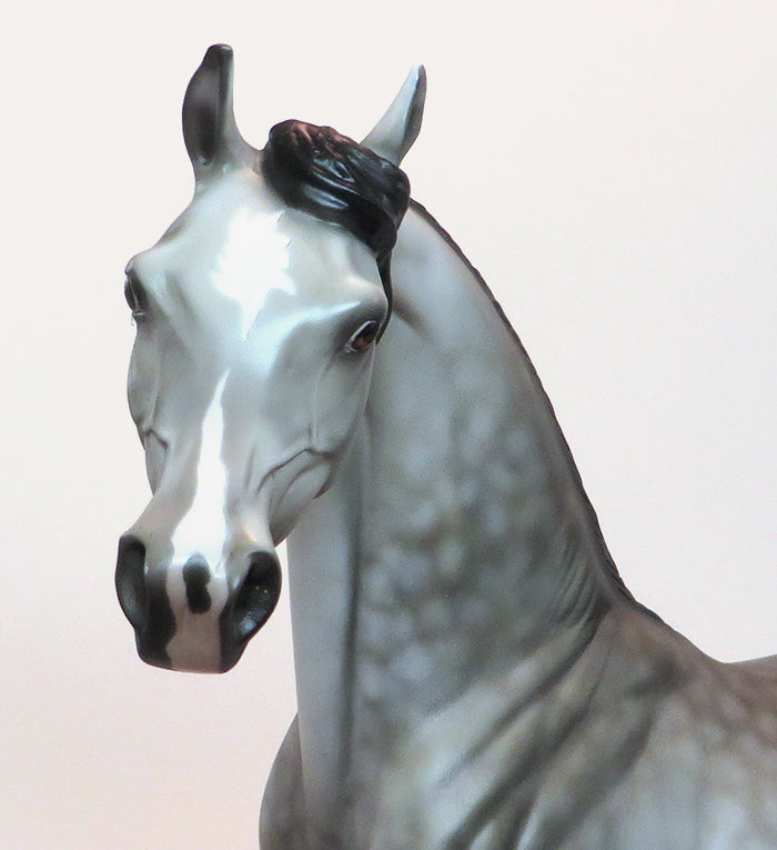 APPLETINI - OOAK DAPPLE GREY ARABIAN MODEL HORSE - 1/28