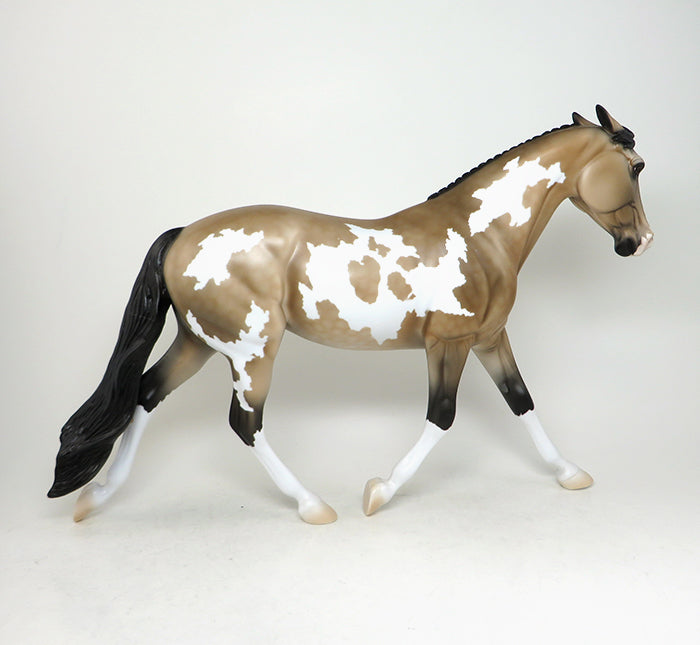 buckskin paint palouse