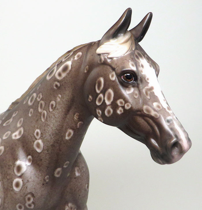 AWESOME SAUCE-OOAK DARK CHESTNUT APPALOOSA PALOUSE MODEL HORSE 3/29
