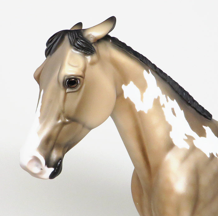 buckskin paint peter stone