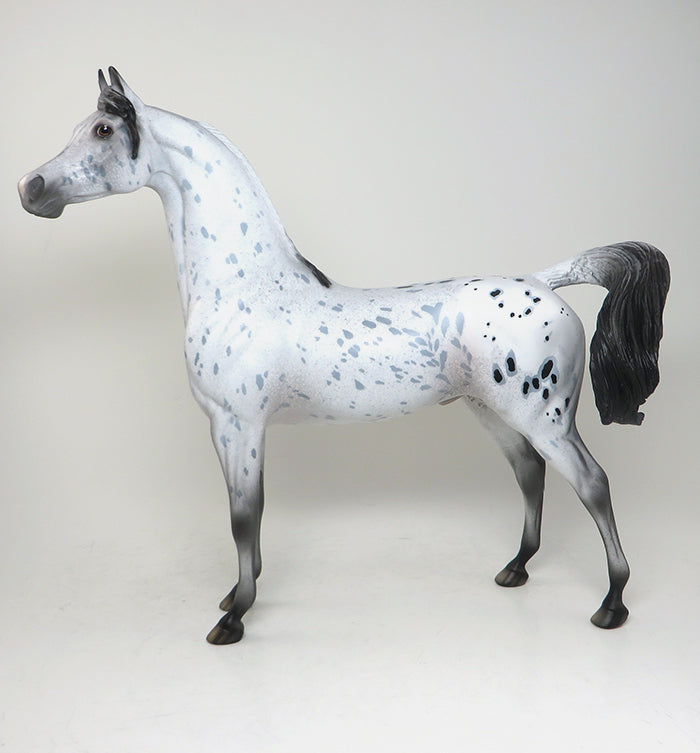 DOMINO EFFECT - OOAK APPALOOSA ARABIAN MODEL HORSE - 3/21