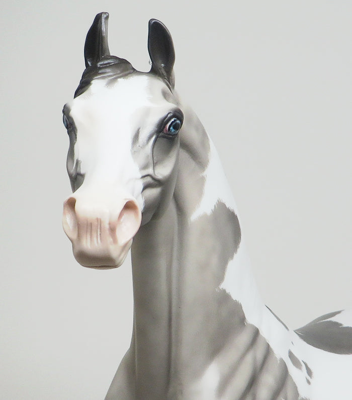 FATAL ATTRACTION - OOAK DAPPLE GREY PAINT ARABIAN by SHERYL LEISURE - 1/11