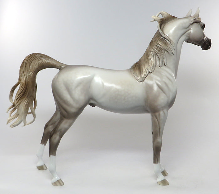 PRINCE PHILLIP LIMITED EDITION DAPPLE ROSE GREY ARABIAN EQUILOCITY 2016