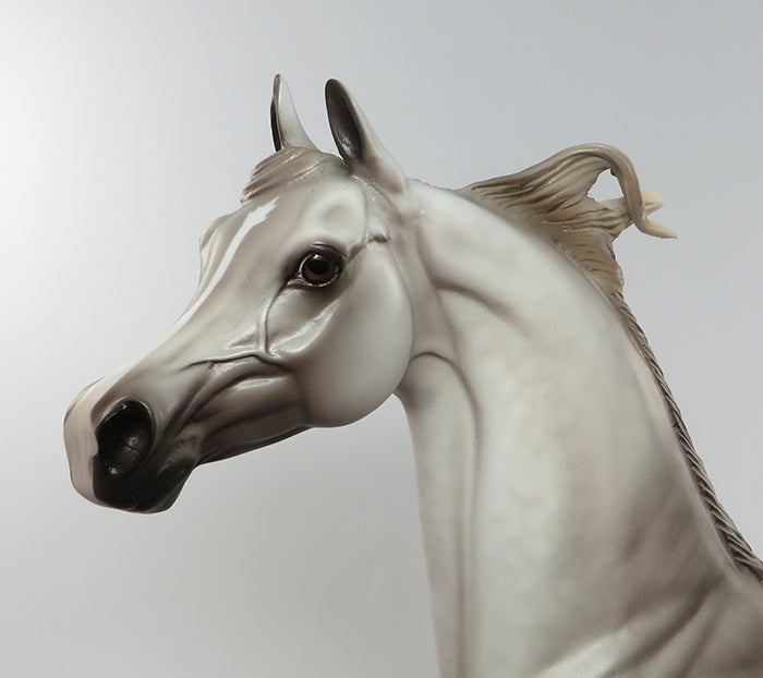 PRINCE PHILLIP LIMITED EDITION DAPPLE ROSE GREY ARABIAN EQUILOCITY 2016