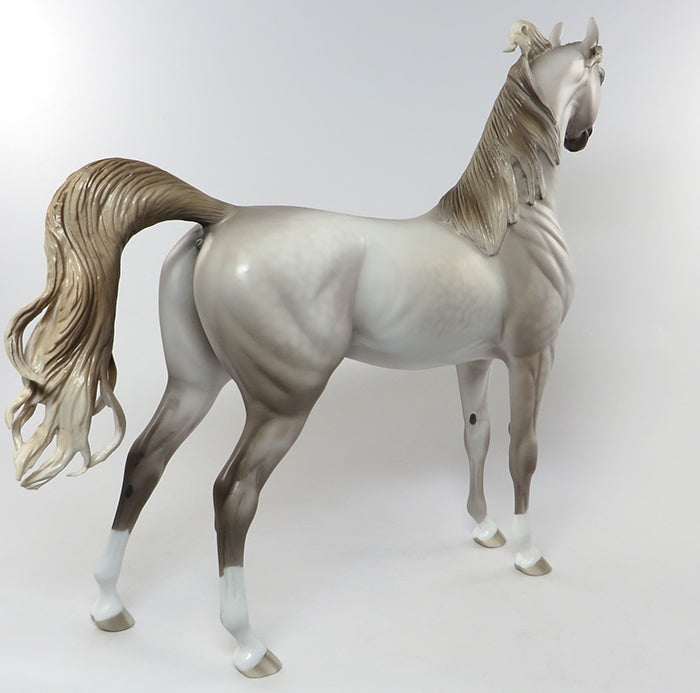 PRINCE PHILLIP LIMITED EDITION DAPPLE ROSE GREY ARABIAN EQUILOCITY 2016
