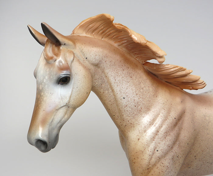 PUSS IN BOOTS-LE-6 CHESTNUT APPALOOSA PONY MODEL HORSE EQ 2016