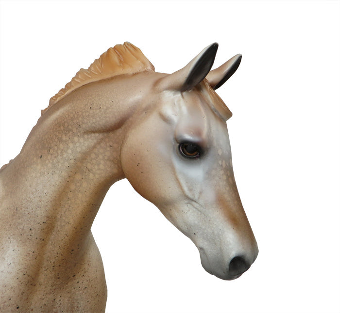 PUSS IN BOOTS-LE-6 CHESTNUT APPALOOSA PONY MODEL HORSE EQ 2016