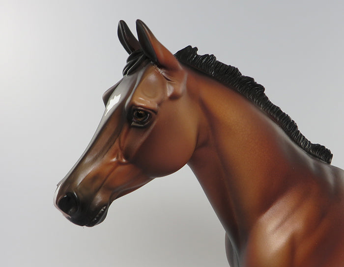 QUEEN BEE-LE-8 BAY APPALOOSA PALOUSE MODEL HORSE EQ 2016 7/28