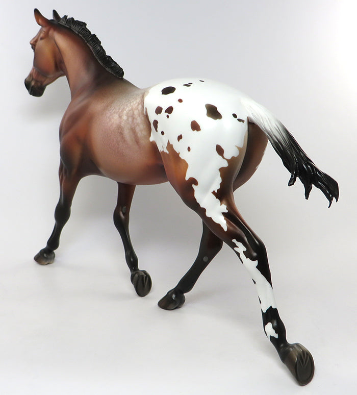 Appaloosa