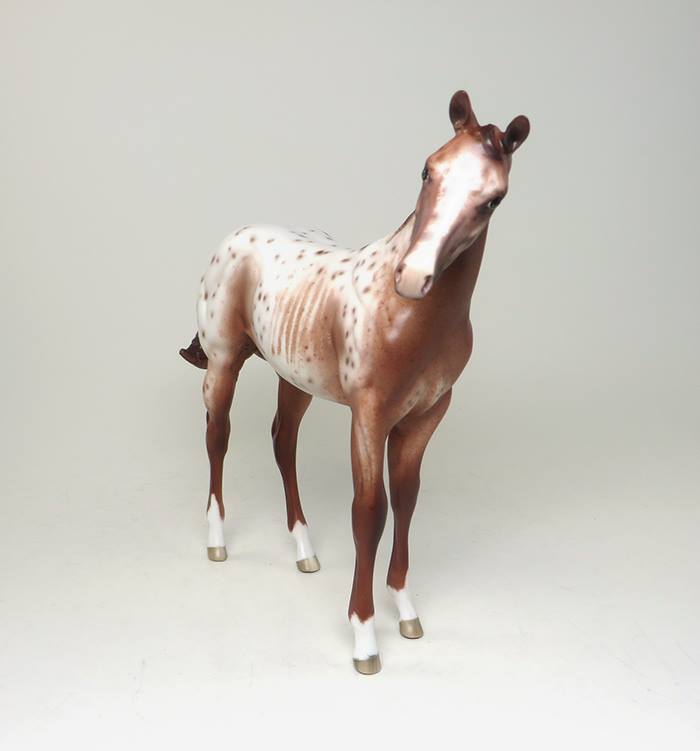 amazing sabino weanling