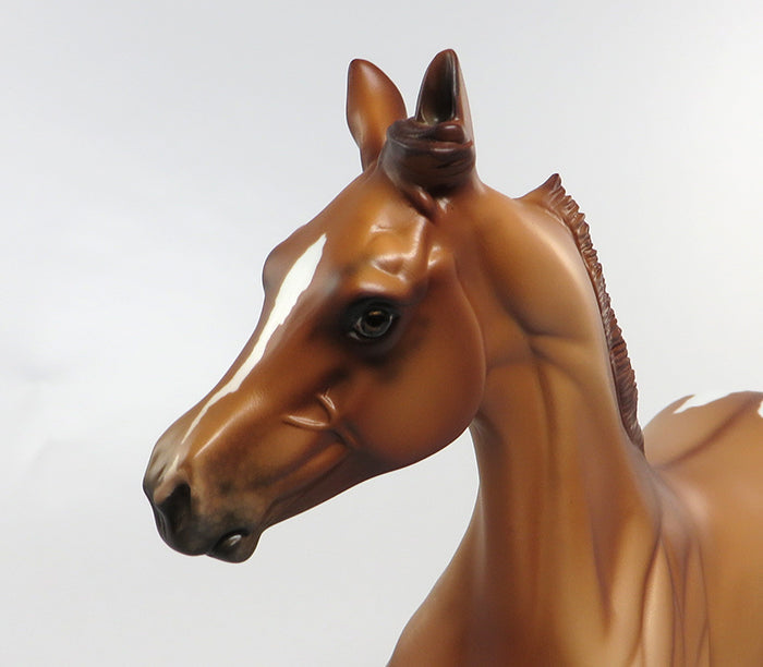 ROSE RED-LE-6 CHESTNUT APPALOOSA YEARLING ARABIAN MODEL HORSE EQ 2016 7/27