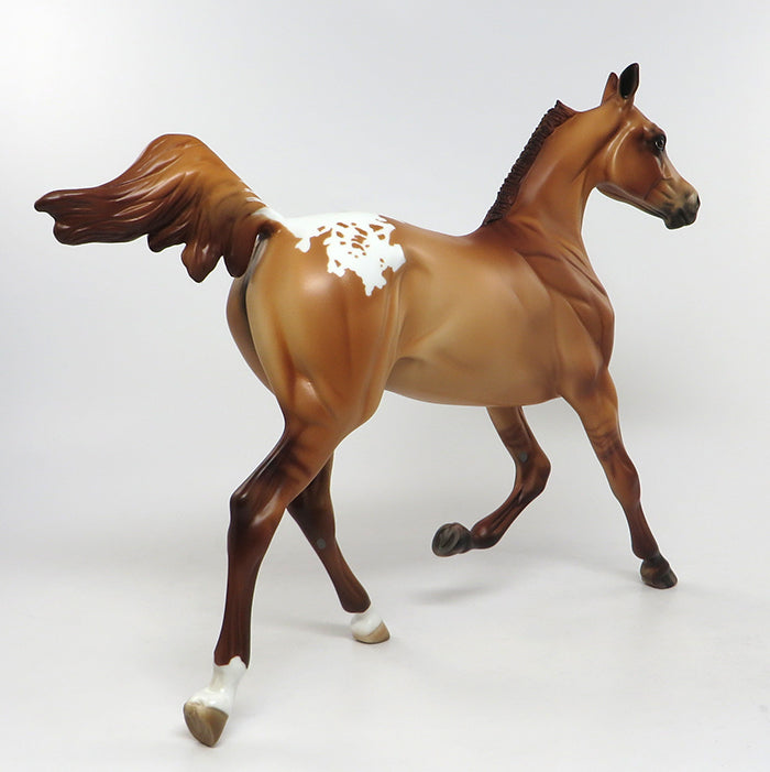ROSE RED-LE-6 CHESTNUT APPALOOSA YEARLING ARABIAN MODEL HORSE EQ 2016 7/27