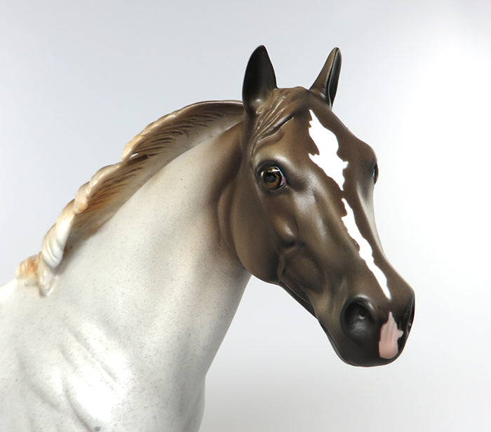 SAUCY BOY-LE-3 GRULLA ROAN ISH MODEL HORSE EQ 2016 7/28