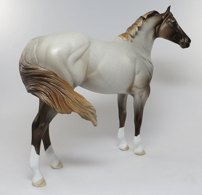 SAUCY BOY-LE-3 GRULLA ROAN ISH MODEL HORSE EQ 2016 7/28