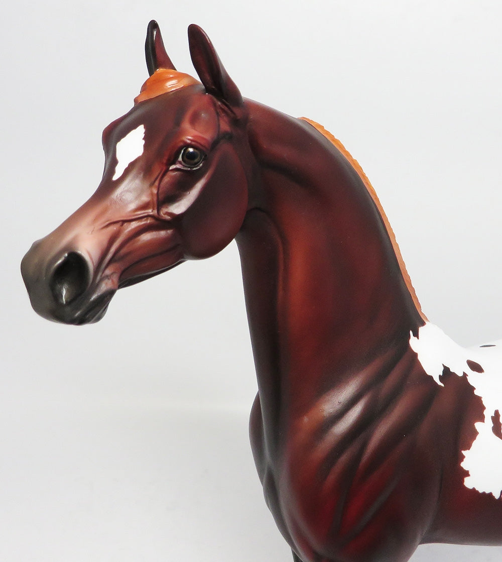 SALUTER-OOAK CUSTOM LIVER CHESTNUT APPALOOSA ARABIAN MODEL HORSE WHS 2017