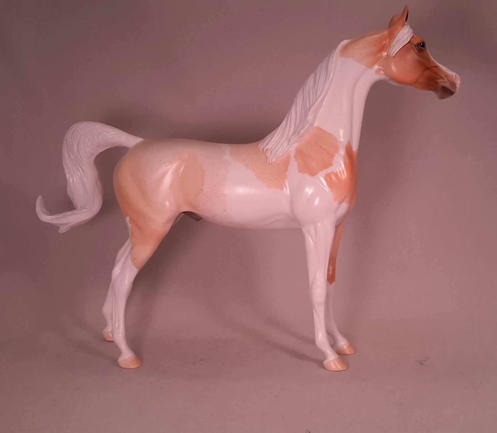 TWO FEATHERS - Roan Palomino Arabian