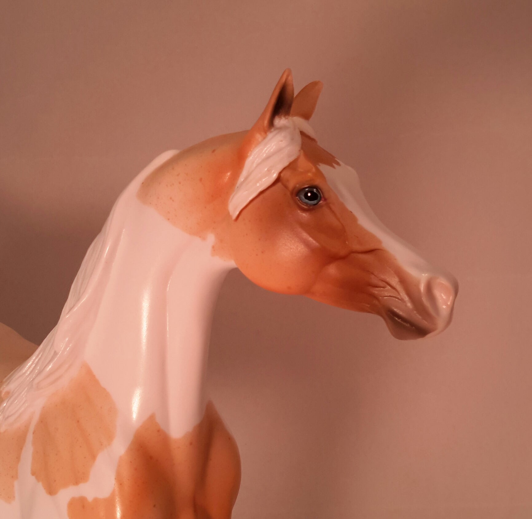 TWO FEATHERS - Roan Palomino Arabian