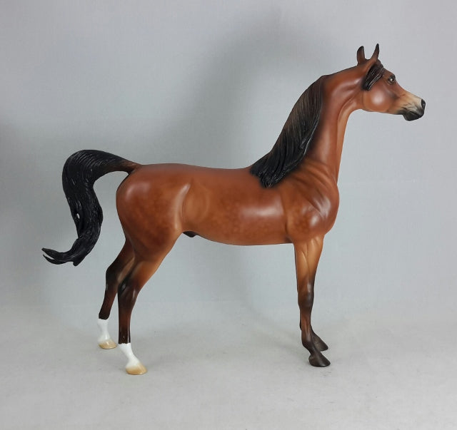 DIVINE PROVIDENCE - Dappled Bay Arabian Model Horse