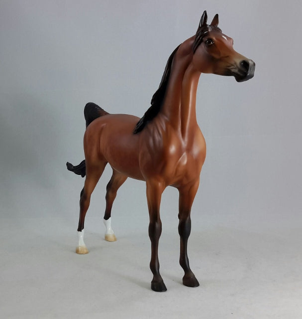 DIVINE PROVIDENCE - Dappled Bay Arabian Model Horse