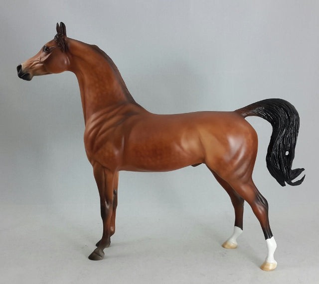 DIVINE PROVIDENCE - Dappled Bay Arabian Model Horse