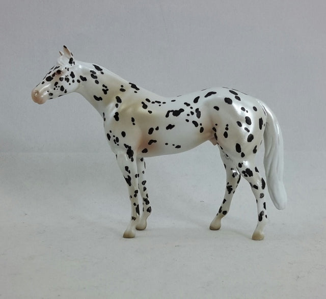 IMPOSSIBLE DREAM - OOAK Leopard Appaloosa Stock Horse Chip